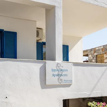 Hippocampus 2 Min Walk From The *