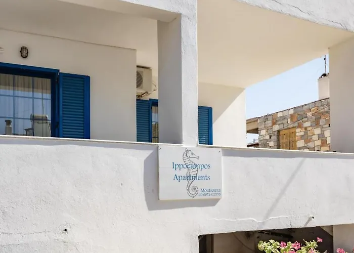 Hippocampus 2 Min Walk From The *